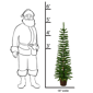 Santa''s Workshop 5ft. Pre-Lit Warm White Green Slim Potted Tree - image 2