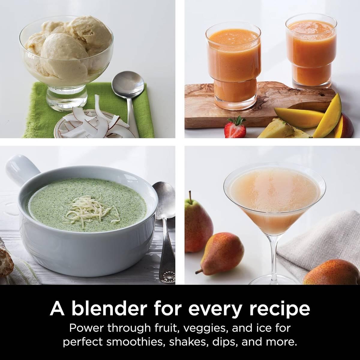 Ninja® Pro Blender