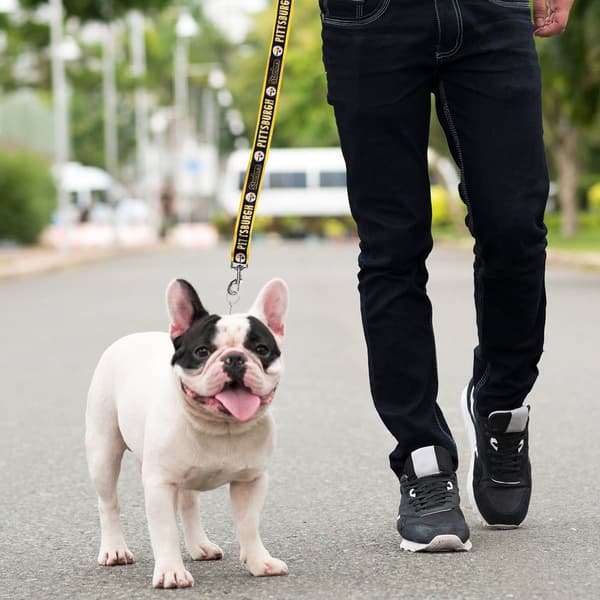 NFL Pittsburgh Steelers Dog Leash