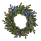 Seasonal LLC LED Palmetto Pine 24in. Christmas Wreath - image 1