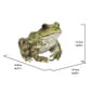 Hi-Line Gift American Bullfrog Garden Statue - image 5