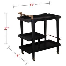 Southern Enterprises Martin Zhori Modern Bar Cart