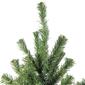 Northlight Seasonal 4ft. Canadian Pine Artificial Christmas Tree - image 2
