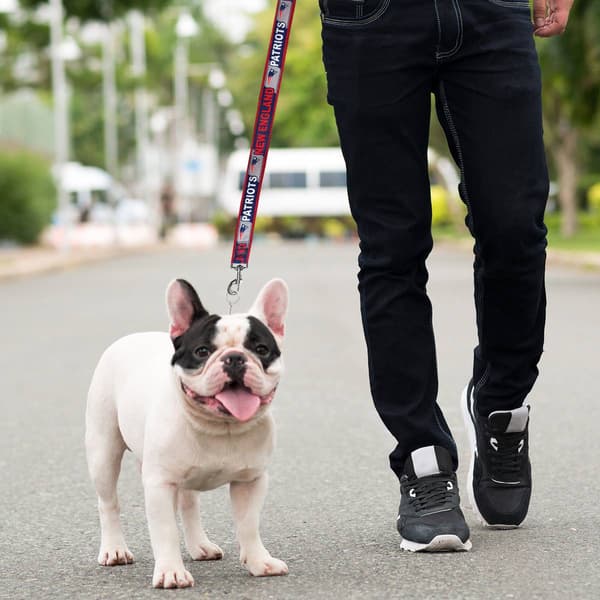 NFL New England Patriots Dog Leash