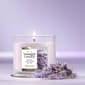 Yankee Candle(R) 4.5oz. Dried Lavender Oak Tumbler Candle - image 1