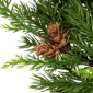 Northlight Real Touch™ 24in. Cypress & Pinecone Christmas Wreath - image 4