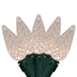 Northlight 15.75ft. LED Warm White C6 Faceted Christmas Lights - image 1