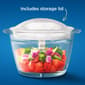 Oster&#174; Mini Food Chopper - image 6