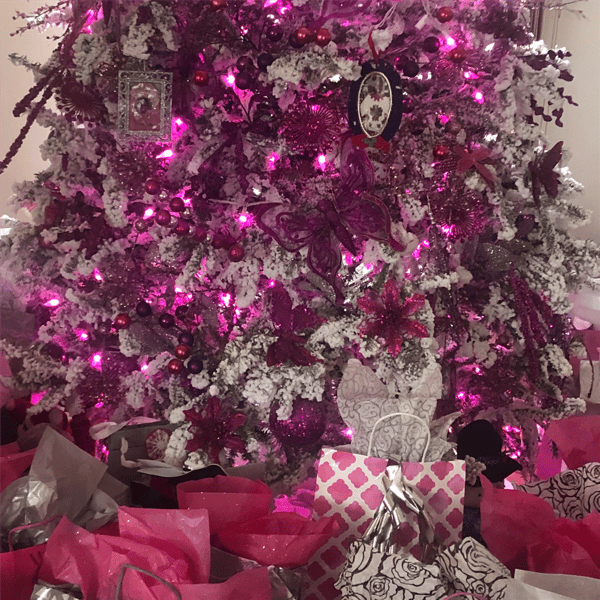 Northlight 22.5ft. LED C6 Faceted Pink Christmas Lights