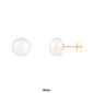 Splendid Pearls 14kt. Gold 9mm Freshwater Pearl Stud Earrings - image 7