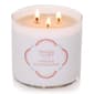 Yankee Candle&#40;R&#41; 14.5oz. Amber & Sandalwood 3-Wick Jar Candle - image 1