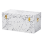 Baxton Studio Brenta Storage Trunk with Lift-Top Lid - image 1