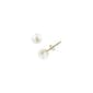 Gemstone Classics&#40;tm&#41; 14kt. Gold & Pearl 6mm Stud Earrings - image 1