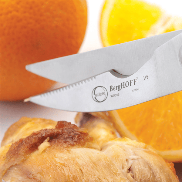 BergHOFF 4pc. Turkey Baster & Poultry Shears Set