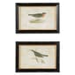 9th & Pike&#40;R&#41; Pipit and Warbler Bird Wall Art - Set of 2 - image 1