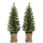 Puleo International 3.5ft. Battery Operated Set of 2 Potted Trees - image 1