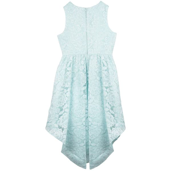 Girls &#40;7-16&#41; Rare Editions Floral Stretch Lace High Low Dress