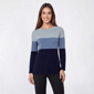 Petite Retrology Color Block Crew Neck Sweater - image 1