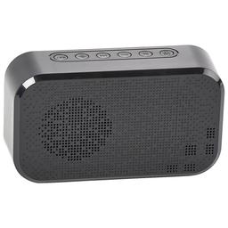 Sentry Alarm Clock Speaker