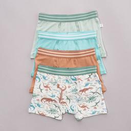 Toddler Boy Poppy & Clay 4pk. Zen Bamboo Dino Boxer Briefs