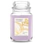 Yankee Candle(R) Lavender Bliss 22oz. Jar Candle - image 1