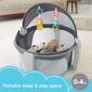 Fisher-Price&#174; On-The-Go Baby Dome - image 2