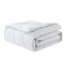 Waverly White Down Comforter