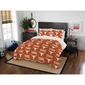 Northwest Texas Longhorns Bed in a Bag - image 1