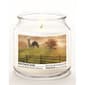 Courtside Market® Graze On 16oz. Honeysuckle Jar Candle - image 2
