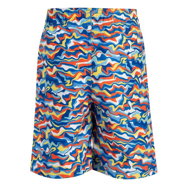 Toddler Boys Dolfin® Surfin Swim Trunks