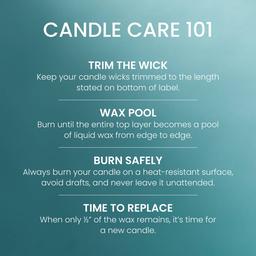 Yankee Candle® 22oz. Bahama Breeze Jar Candle