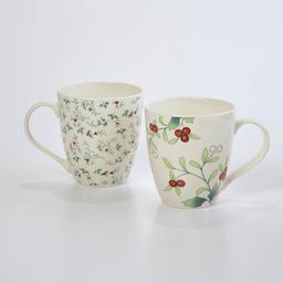 Pfaltzgraff(R) Set of 2 Micro Macro Mugs