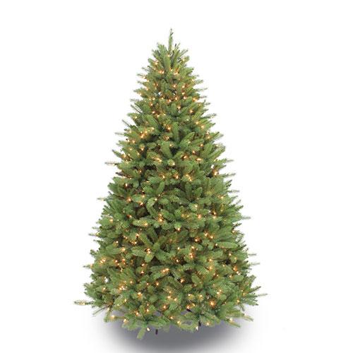 6.5ft. Pre-Lit Davidson Fir Premier Christmas Tree