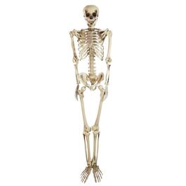 Northlight Seasonal 5ft. Life Size Skeleton Halloween Decoration