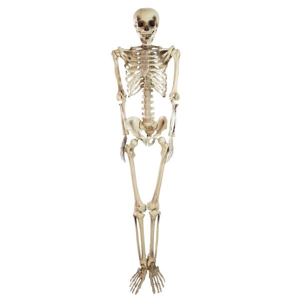 Northlight Seasonal 5ft. Life Size Skeleton Halloween Decoration - image 