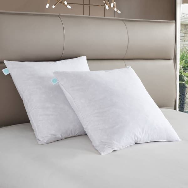 Martha Stewart Firm 233TC 2pk.  Euro-Square Feather Pillow