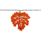 Northlight Seasonal 10ct. LED Orange Fall Leaves Fairy Lights - image 3