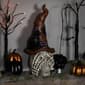 Northlight Seasonal Skull in Witch Hat w/ Crow Halloween D&#233;cor - image 2