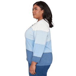 Plus Size Alfred Dunner Ann Arbor Color Block Lace Trim Sweater