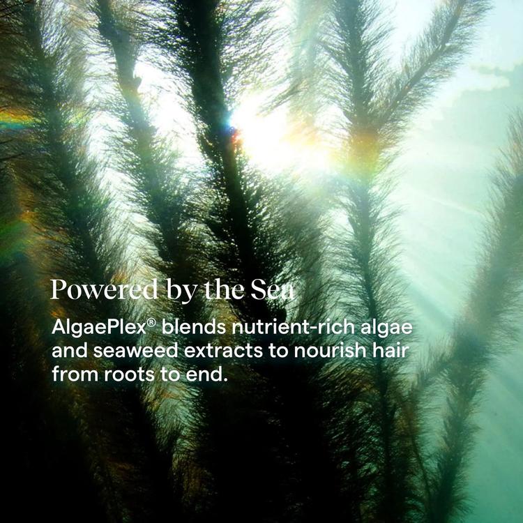 Aquage Uplifting Foam