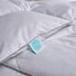Blue Ridge Martha Stewart 250 TC White Feather And Down Comforter - image 4