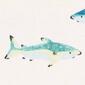 Baby Boy &#40;3-24M&#41; Carter''s&#174; 3pc. Shark Bodysuit & Waffle Top Set - image 2