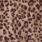 Petite Ruby Rd. Game of Luxe Leopard Denim Jacket - image 6