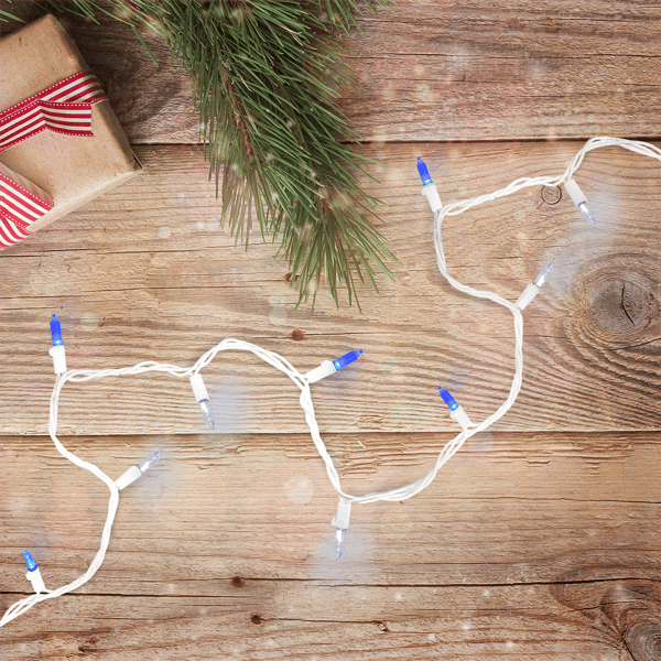 Northlight 100ct. LED Mini Christmas Lights