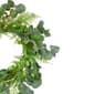 Northlight Seasonal Artificial Eucalyptus & Foliage Spring Wreath - image 3