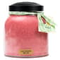 A Cheerul Giver Sun Soaked Melon Jar Candle - image 1
