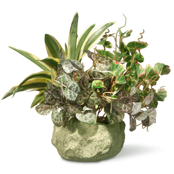National Tree 10in. Potted Plant - image 