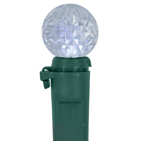 Northlight Seasonal 50ct. Multi-Color Berry Christmas Light Set