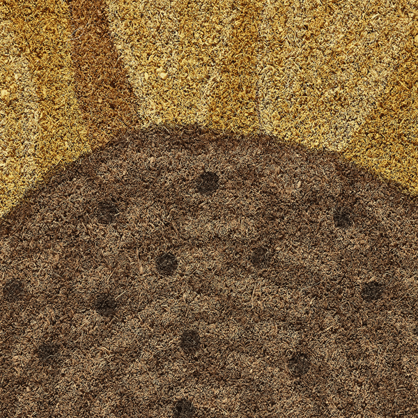VCNY Home Sunflower Half Circle Outdoor Coir Doormat