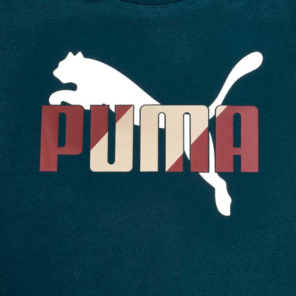 Boys (8-20) Puma® House of Graphics Tee - Green